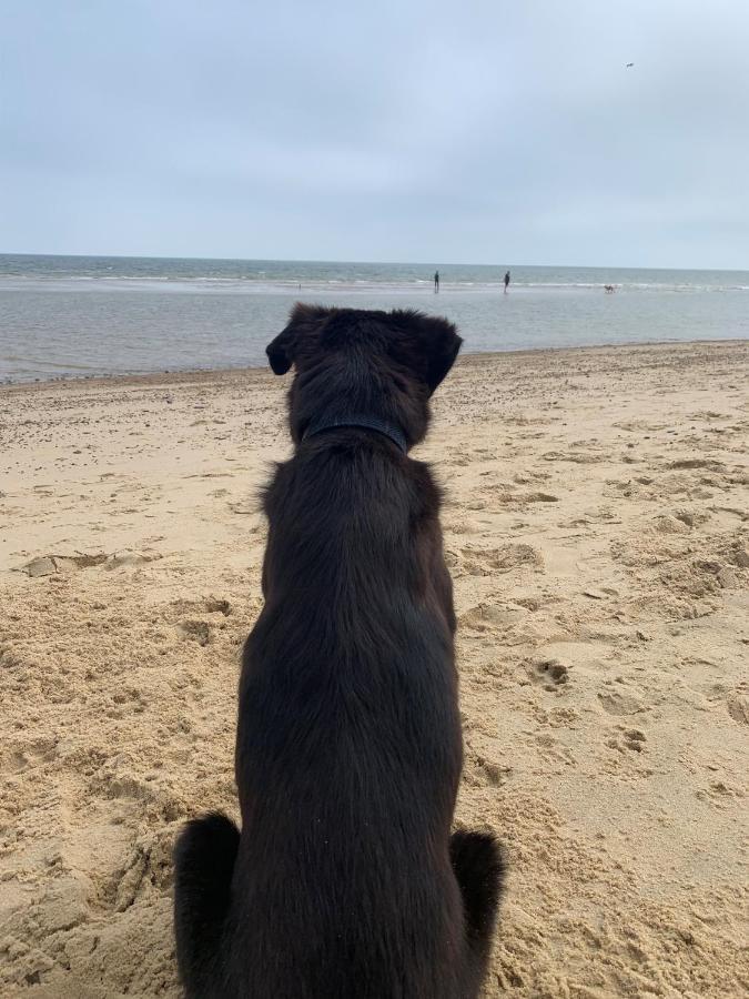 Norfolk Caravan Staycation Pet Friendly Belton with Browston Extérieur photo