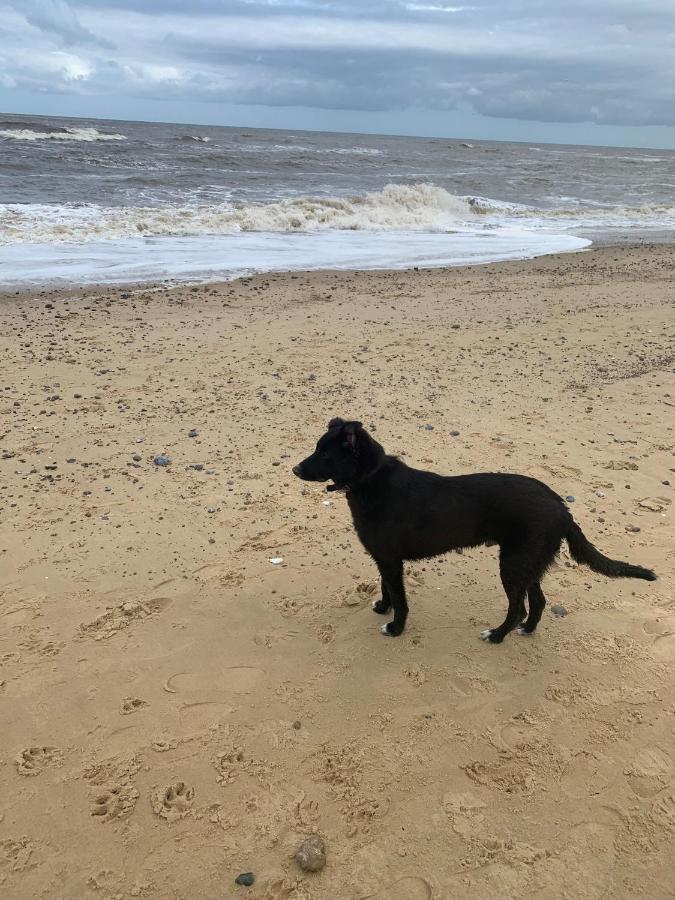 Norfolk Caravan Staycation Pet Friendly Belton with Browston Extérieur photo